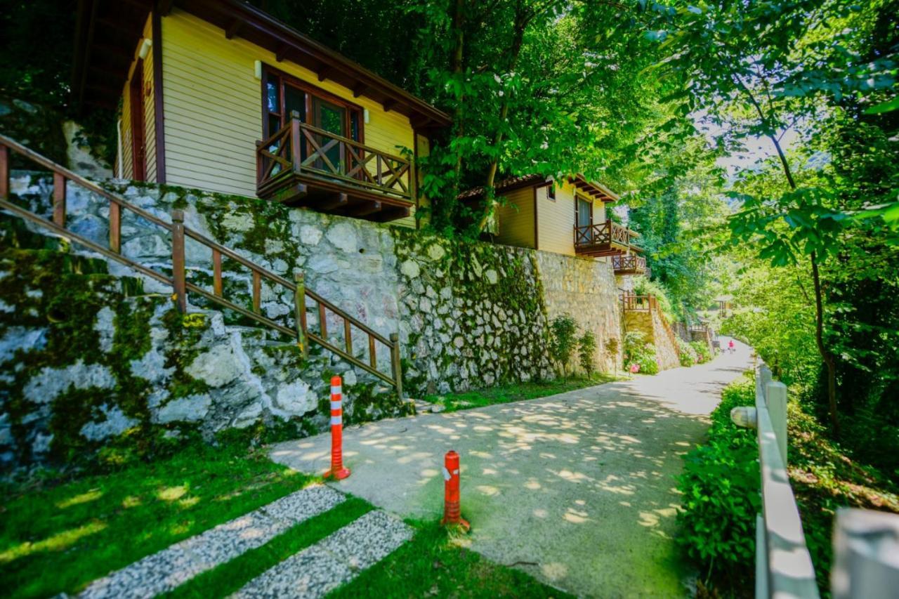 Naturkoy Sapanca Sakarya  Zewnętrze zdjęcie