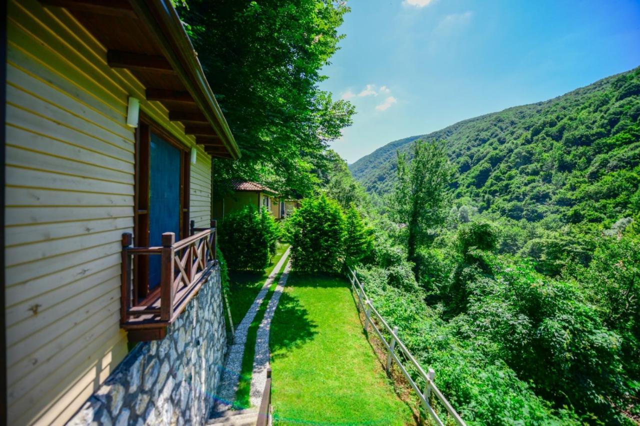 Naturkoy Sapanca Sakarya  Zewnętrze zdjęcie