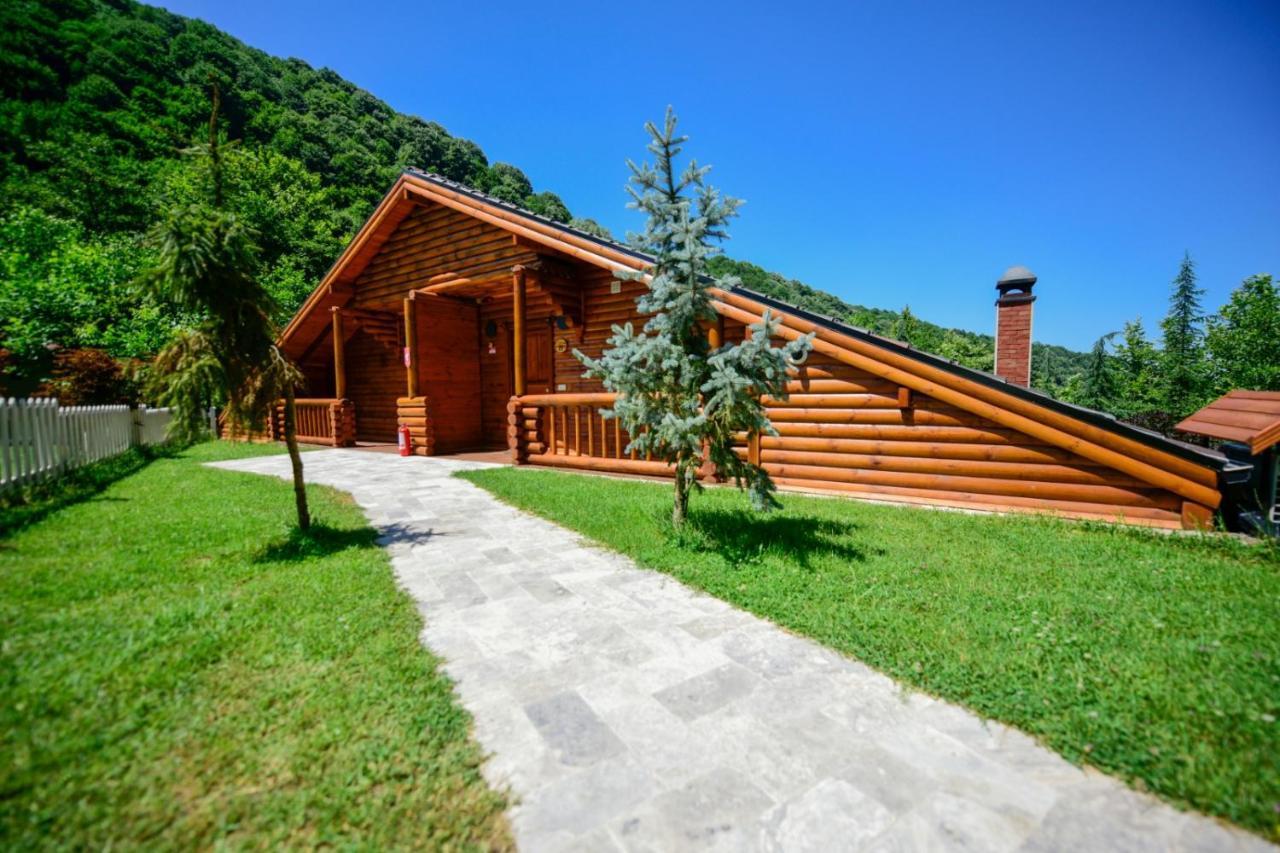 Naturkoy Sapanca Sakarya  Zewnętrze zdjęcie