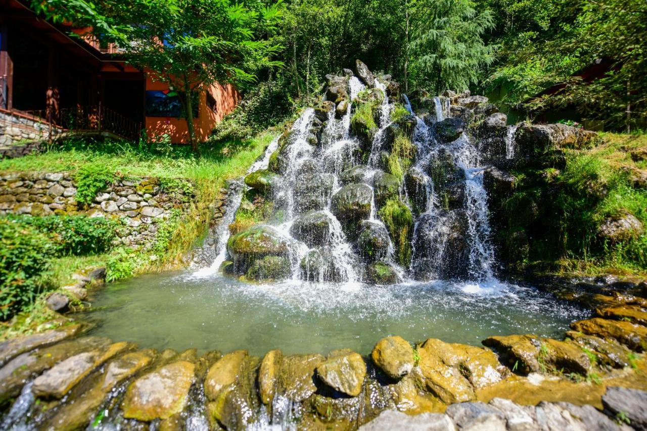 Naturkoy Sapanca Sakarya  Zewnętrze zdjęcie